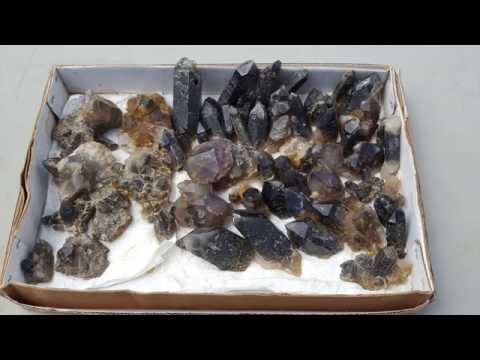 Peterson Mountain Dig